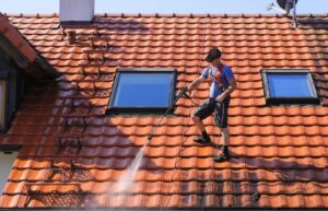 expert washing home roof